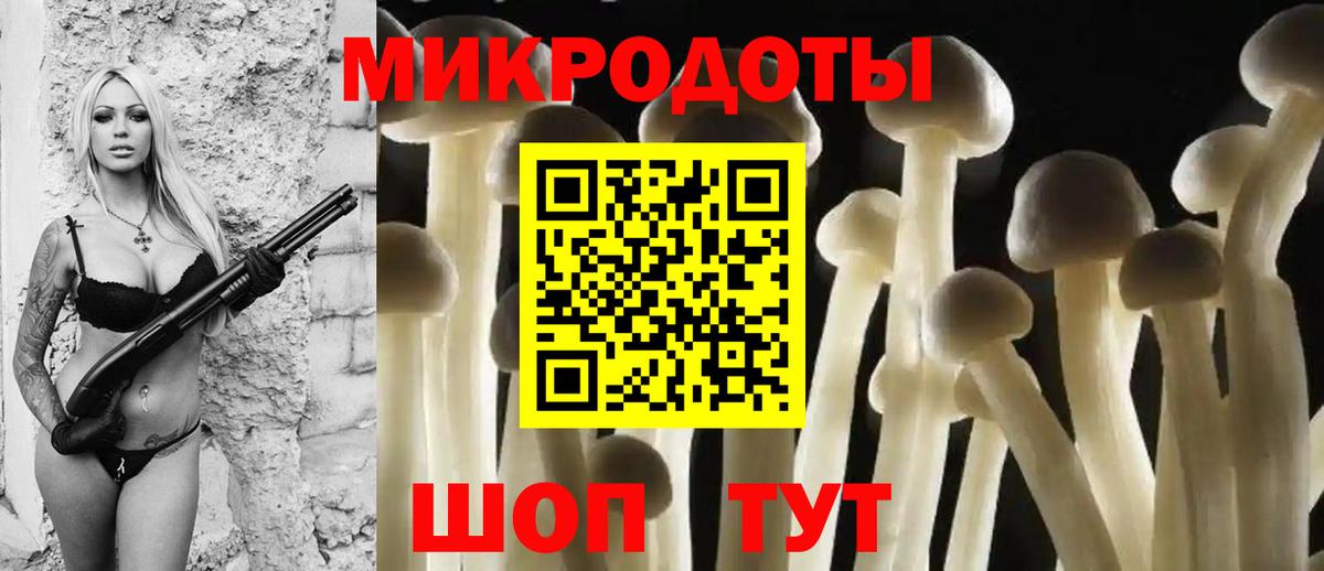 Борзя  Псилоцибиновые грибы GOLDEN TEACHER  Псилоцибиновые грибы Psilocybine cubensis  Вход с VPN 