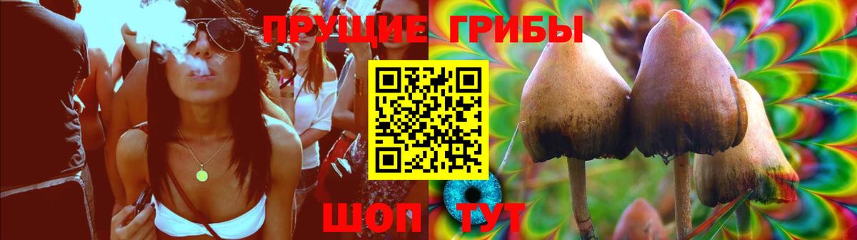 Псилоцибиновые грибы прущие грибы Борзя