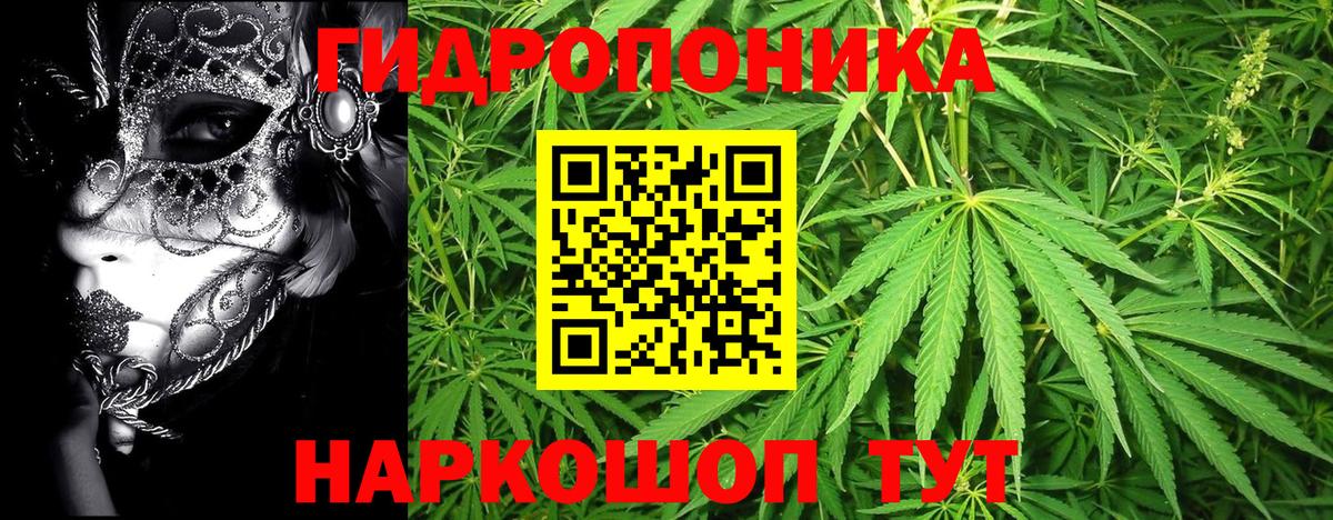 Бошки Шишки THC 21% Борзя